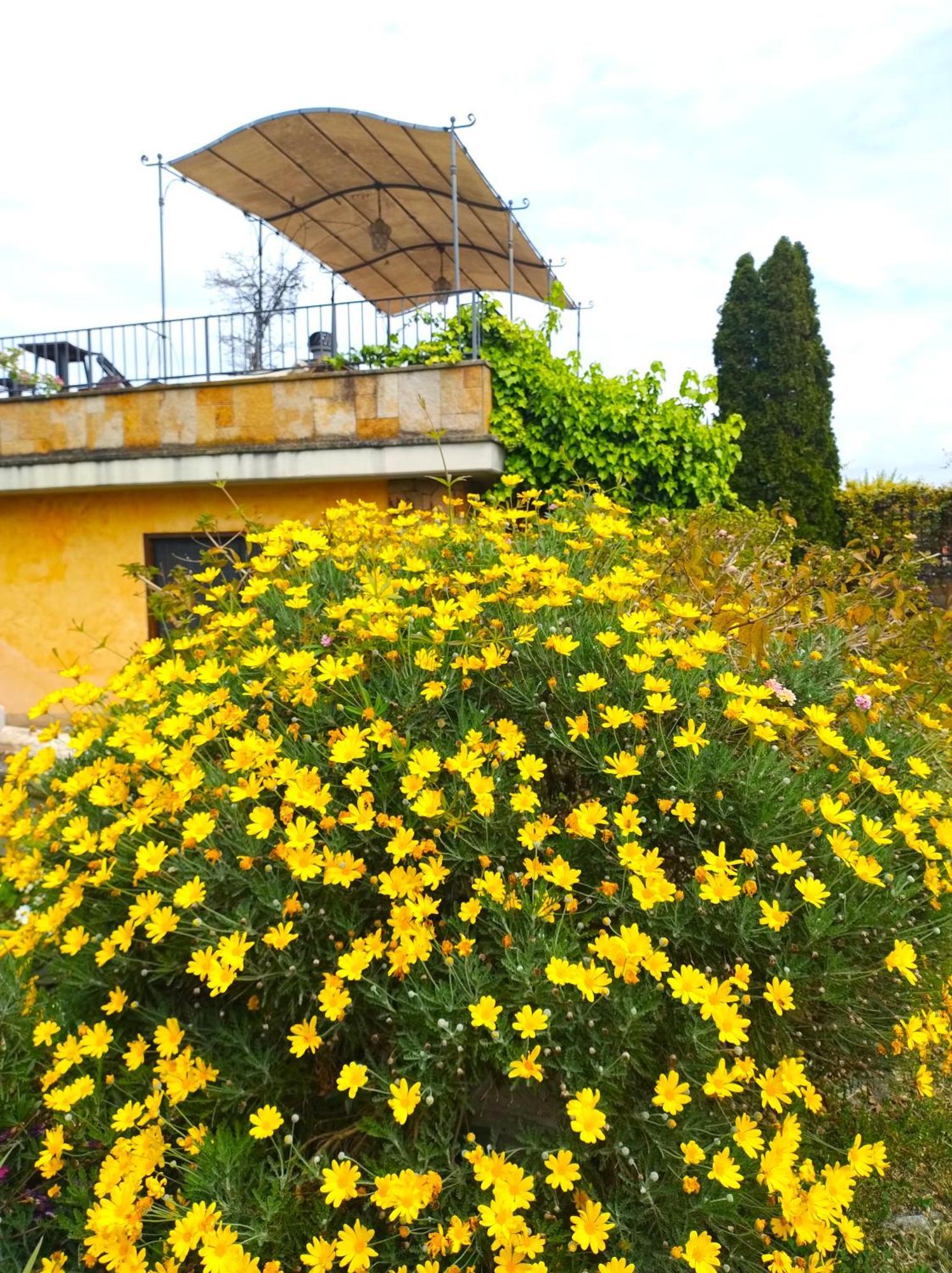 La Valle Dei Casali Com Roma Dış mekan fotoğraf