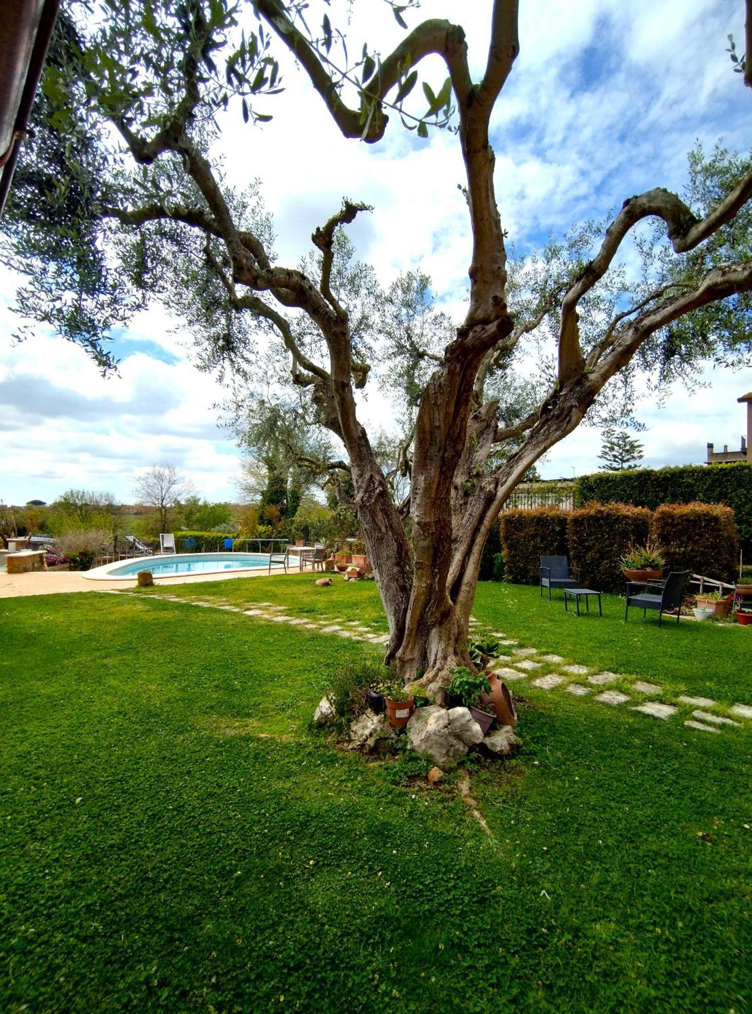 La Valle Dei Casali Com Roma Dış mekan fotoğraf